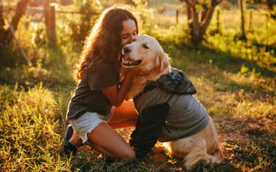 ‘Dogtor Animal Sonríe’: Proyecto de investigación. Perros de apoyo a menores en juzgados